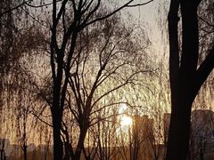 -裕华世纪公园