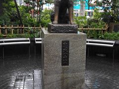 -涩谷区