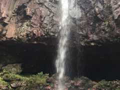 -四明山国家森林公园