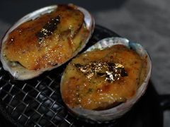 -Hi City·城市之巅