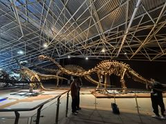 -世界恐龙谷景区