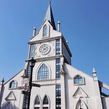 美食什么都有四季广场的花海是真的漂亮