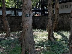 -九龙寨城公园