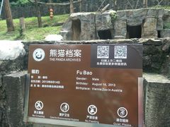 -都江堰中华大熊猫苑