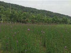 -石塘人家