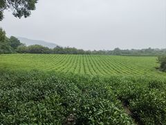 -敬亭山风景名胜区