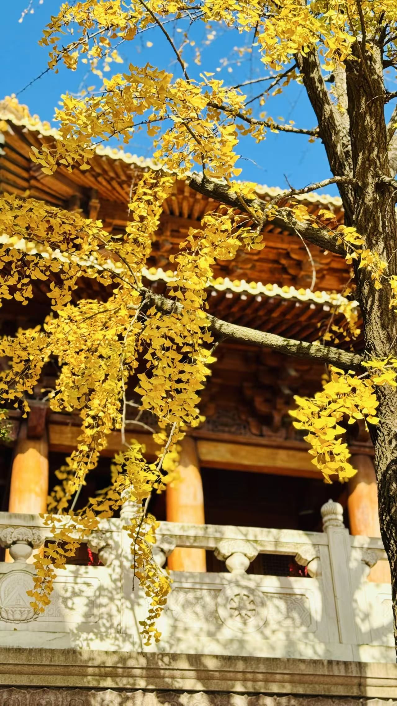 北京能超度的寺院名单-北京超度亡灵最好的寺院