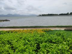 -深圳湾公园(南山区)