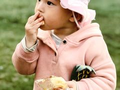 -渭南桃花源民俗文化园