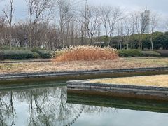 -蠡湖大桥公园