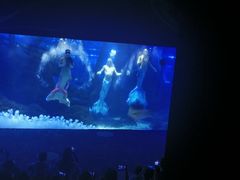 -江和美海洋公园