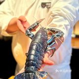 哇哦！云梦鱼神仙美味！幸福小女孩一枚！