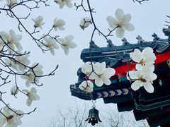 -北京艺术博物馆(万寿寺)