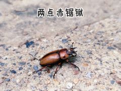 -妙峰山风景名胜区