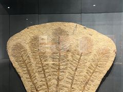 -大连自然博物馆