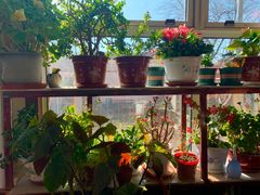 -北京龙庆四季香农家饭庄·灶台鱼·碳烤虹鳟鱼(龙庆峡店)