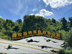 -西双版纳原始森林公园