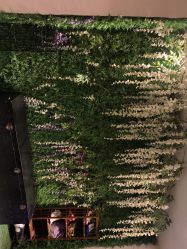 -盘子女人坊古装写真摄影(天津总店)