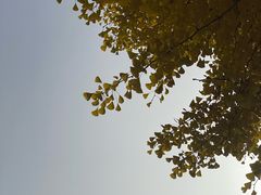 -张掖大佛寺景区