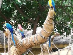 -石家庄市动物园