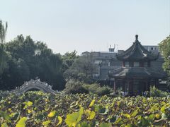 -莲池书院博物馆