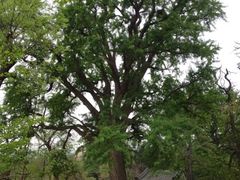 iphone_upload_pic-龙泉寺