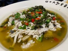黑鱼花-三猫黑鱼花(南大店)