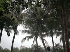-白沙门生态公园