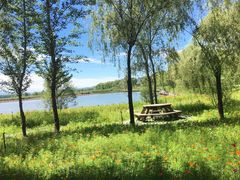 -野鸭湖国家湿地公园