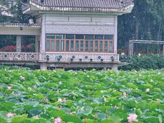 -荔湾湖公园