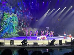 -广州长隆国际大马戏