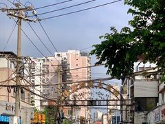 -溪岸路花鸟市场