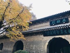 -灵谷景区