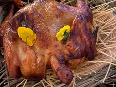 -Hi City·城市之巅