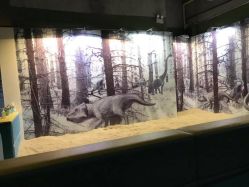 点击看大图 -恐龙探索乐园(磁器口店)