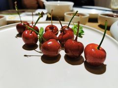-小大董·烤鸭(五棵松店)