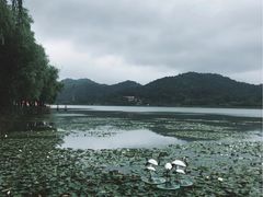 -鸣鹤古镇