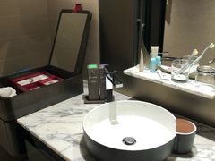 -新加坡瑞士史丹福酒店