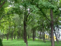 -大望京儿童游乐场