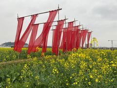 -光明小镇欢乐田园