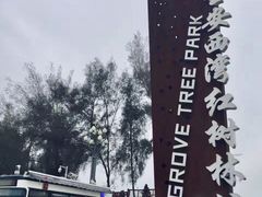 -宝安西湾红树林湿地公园