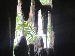 -绿光森林餐厅