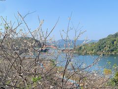 -广州市流溪河国家森林公园