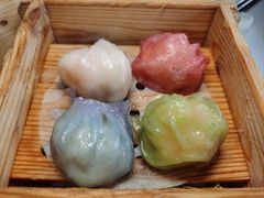 -侨美·唐荔园·40年地道粤菜