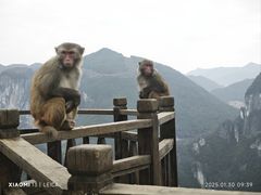 -重庆云阳龙缸景区