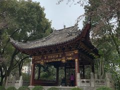 -汇龙潭