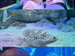 -欢乐海岸海洋奇梦馆