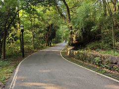 -潜山国家森林公园