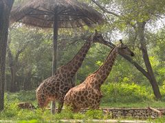 -北京野生动物园