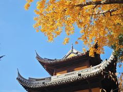 -龙华寺